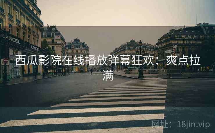 西瓜影院在线播放弹幕狂欢：爽点拉满