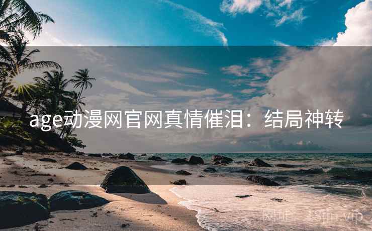 age动漫网官网真情催泪：结局神转
